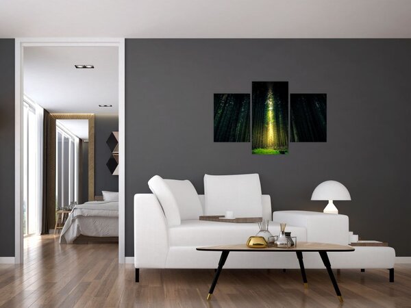 Slika mračne šume (90x60 cm)