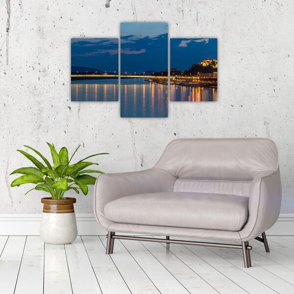 Slika Bratislave s dvorcem (90x60 cm)
