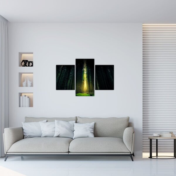 Slika mračne šume (90x60 cm)