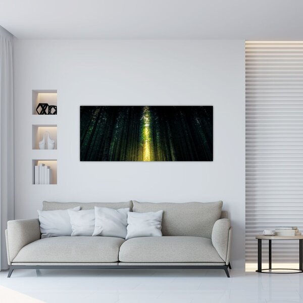 Slika mračne šume (120x50 cm)
