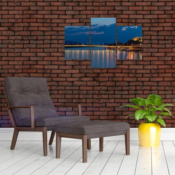 Slika Bratislave s dvorcem (90x60 cm)