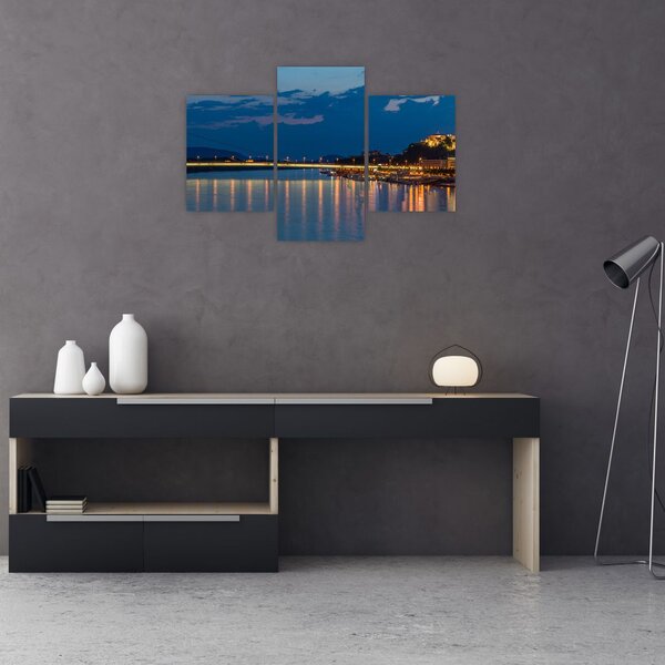 Slika Bratislave s dvorcem (90x60 cm)
