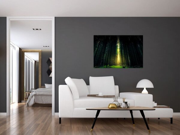 Slika mračne šume (90x60 cm)