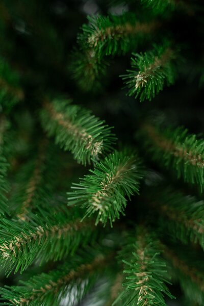 Umjetni bor - Smreka natur - 180cm