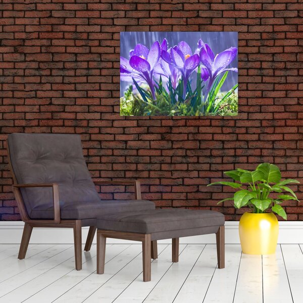 Slika cvijeća na kiši (70x50 cm)