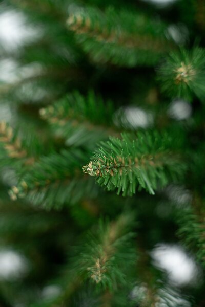 Umjetni bor - Renata fir - 120cm