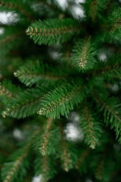 Umjetni bor - Renata fir - 120cm