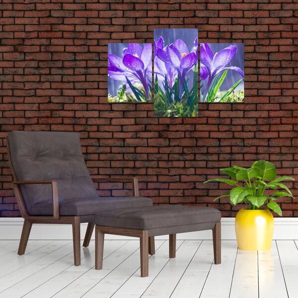 Slika cvijeća na kiši (90x60 cm)
