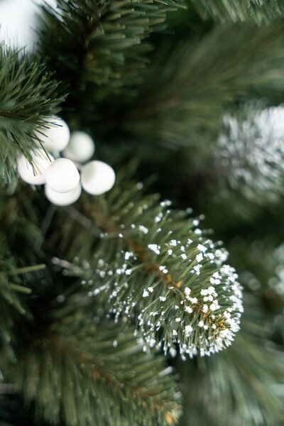 Umjetni bor - Iza white pine - 120cm