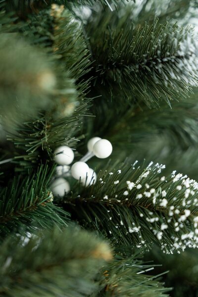 Umjetni bor - Iza white pine - 120cm