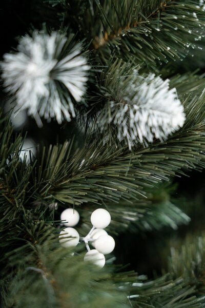 Umjetni bor - Iza white pine - 120cm