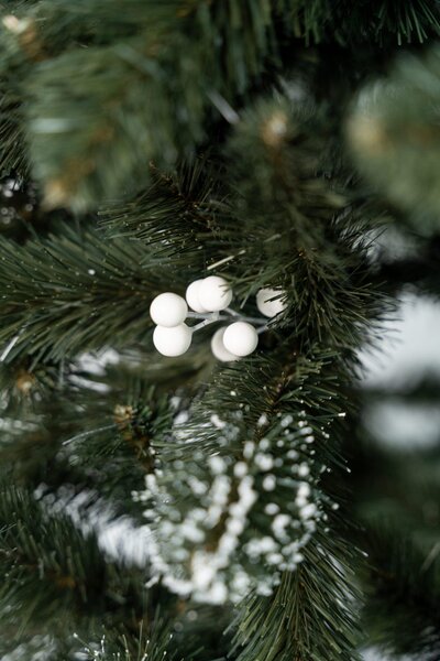 Umjetni bor - Iza white pine - 120cm