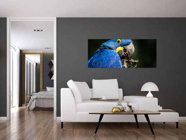 Slika papige (120x50 cm)