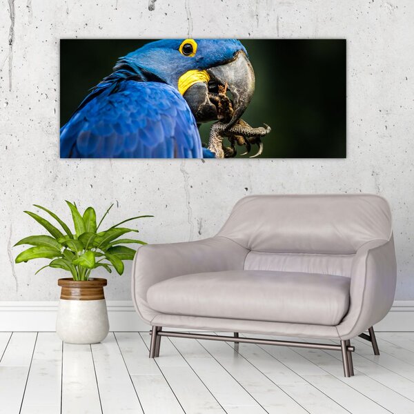 Slika papige (120x50 cm)