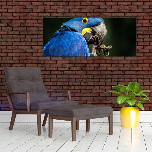 Slika papige (120x50 cm)