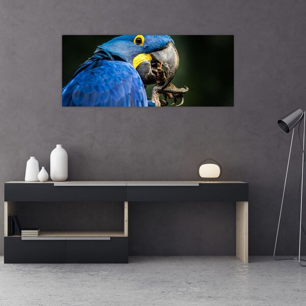Slika papige (120x50 cm)