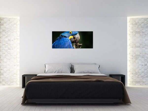 Slika papige (120x50 cm)