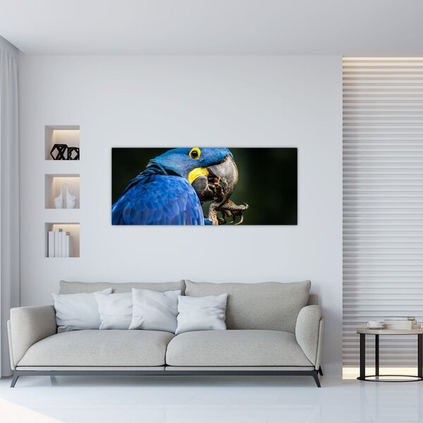 Slika papige (120x50 cm)