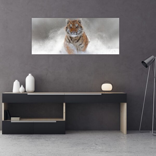 Slika tigra koji trči u snijegu (120x50 cm)
