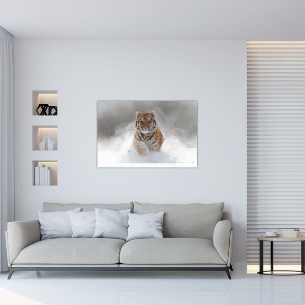 Slika tigra koji trči u snijegu (90x60 cm)