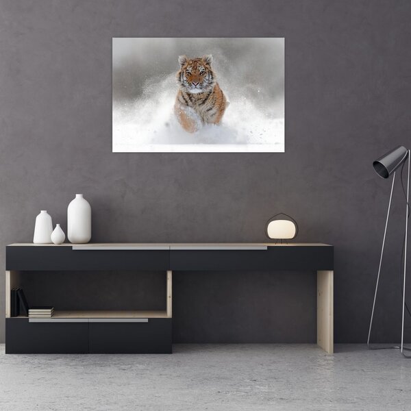 Slika tigra koji trči u snijegu (90x60 cm)