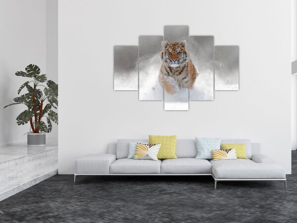 Slika tigra koji trči u snijegu (150x105 cm)