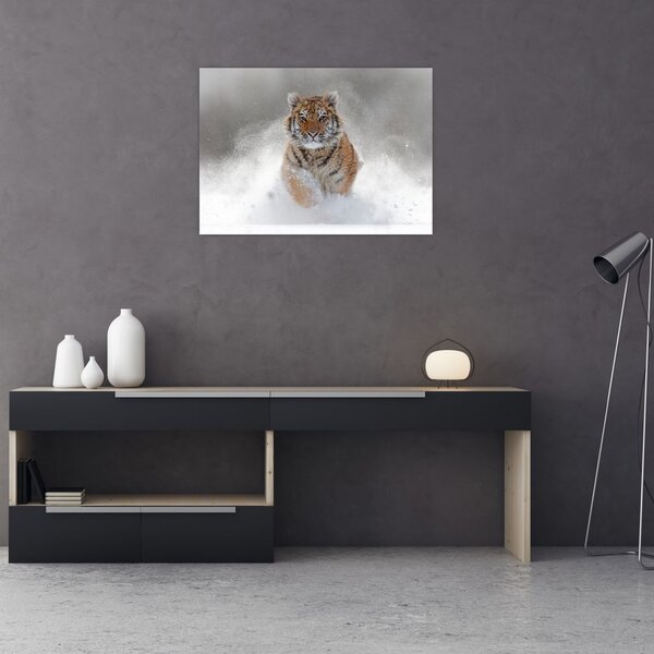 Slika tigra koji trči u snijegu (70x50 cm)