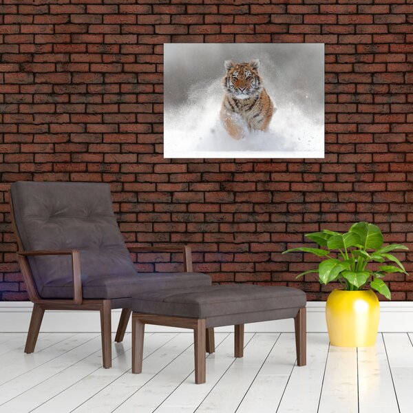 Slika tigra koji trči u snijegu (70x50 cm)