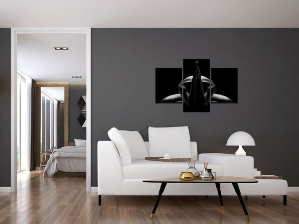 Slika ženskog akta (90x60 cm)