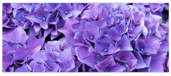 Slika ljubičastog cvijeća (120x50 cm)