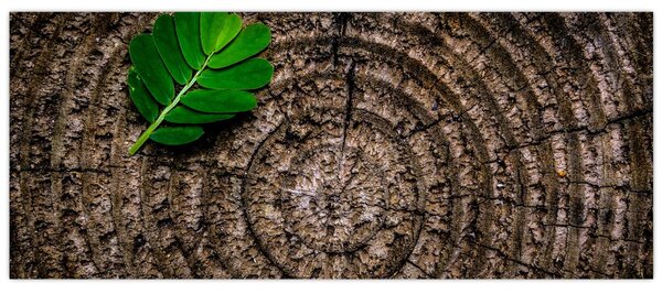 Slika lista na deblu drveta (120x50 cm)