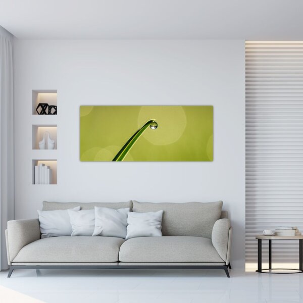 Slika kapi vode na travi (120x50 cm)