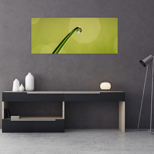 Slika kapi vode na travi (120x50 cm)