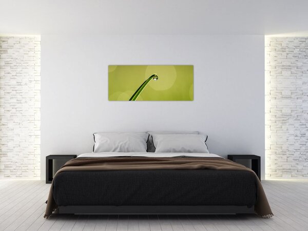 Slika kapi vode na travi (120x50 cm)