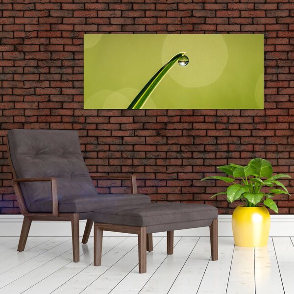 Slika kapi vode na travi (120x50 cm)