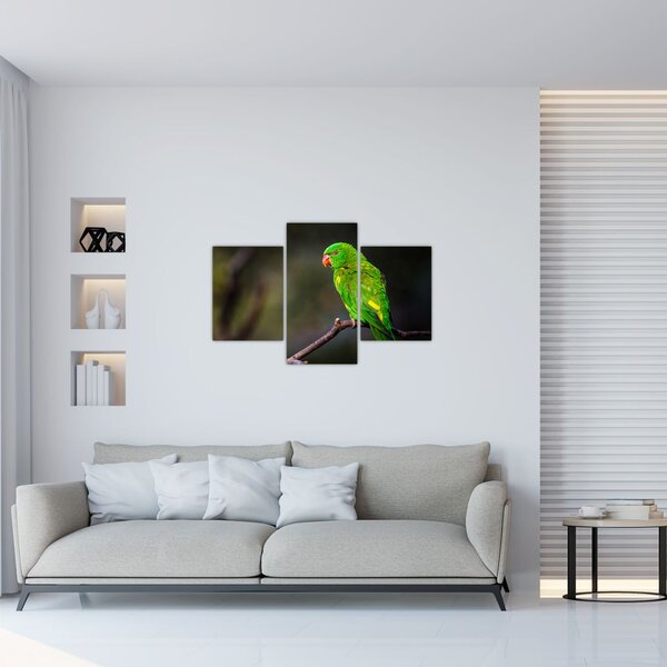 Slika papige na grani (90x60 cm)