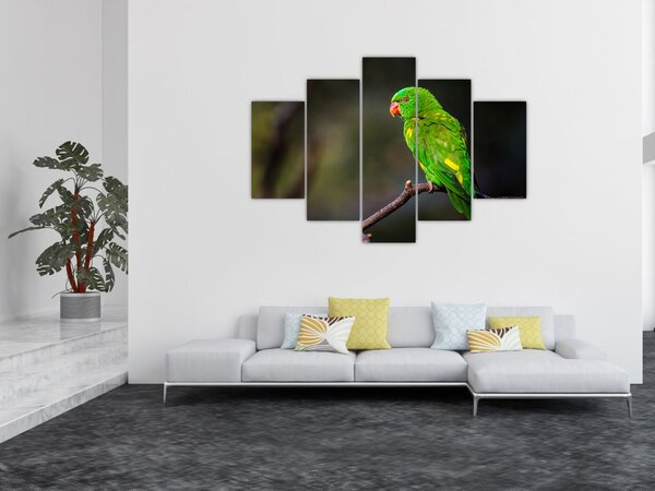 Slika papige na grani (150x105 cm)