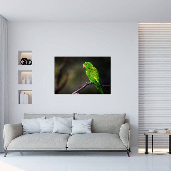 Slika papige na grani (90x60 cm)