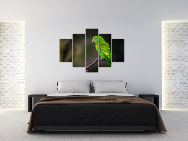 Slika papige na grani (150x105 cm)