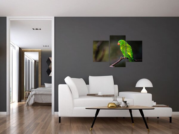 Slika papige na grani (90x60 cm)