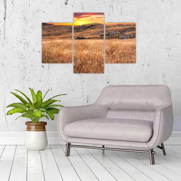 Slika polja (90x60 cm)