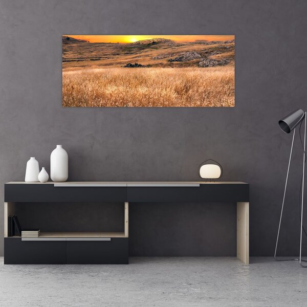 Slika polja (120x50 cm)