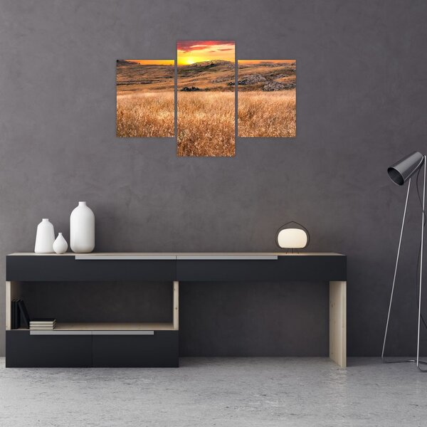 Slika polja (90x60 cm)