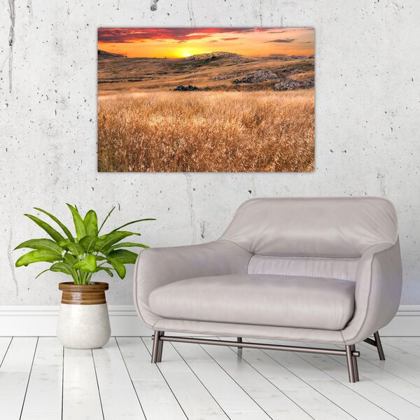 Slika polja (90x60 cm)