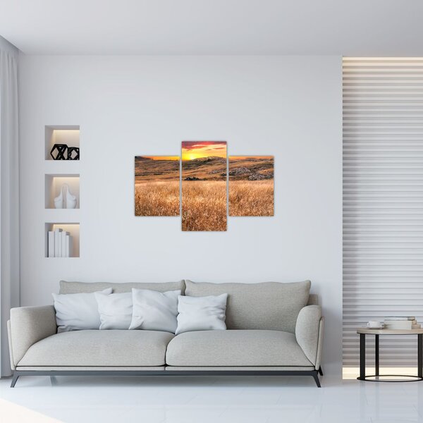 Slika polja (90x60 cm)