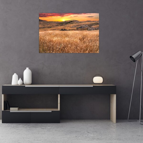 Slika polja (90x60 cm)