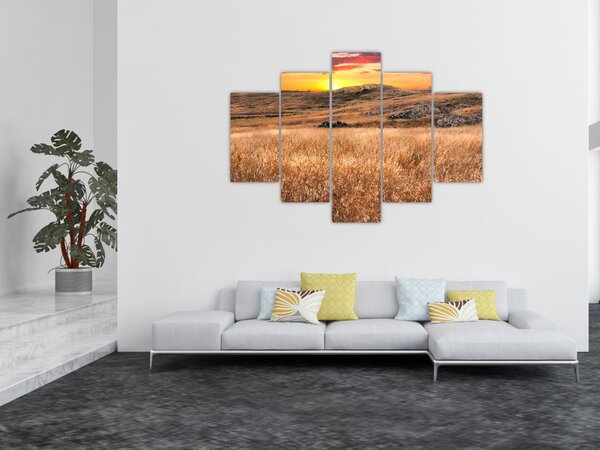 Slika polja (150x105 cm)