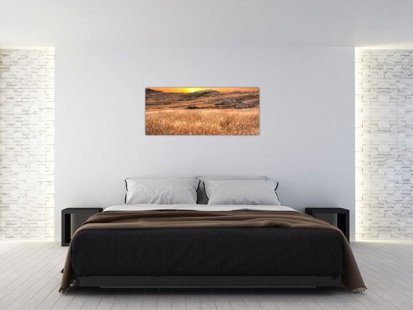 Slika polja (120x50 cm)