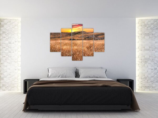 Slika polja (150x105 cm)