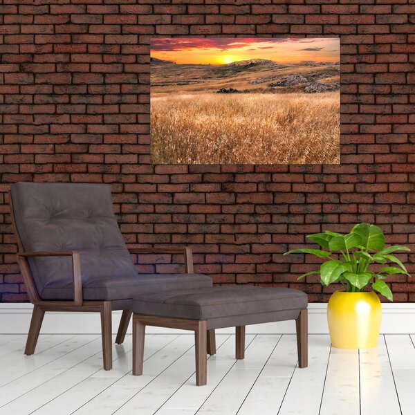 Slika polja (90x60 cm)